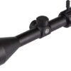 Buy Buckmasters Scope 3- 9x50mm