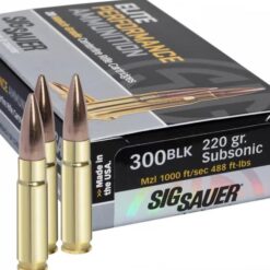 Buy Ammo 300blk 220gr