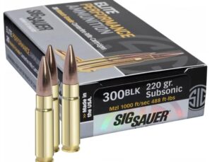 Buy Ammo 300blk 220gr