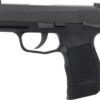 Buy P365 Air Pistol