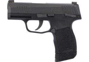 Buy P365 Air Pistol
