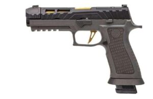 Buy P320 9mm