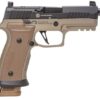 Buy P320, 9mm