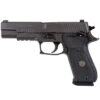 Buy P220 10mm