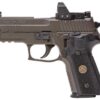 Buy P229, 9mm