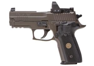 Buy P229, 9mm