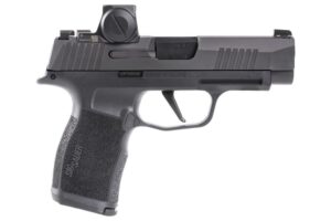 Buy P365xl 9mm