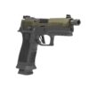 Buy P320 9mm 2