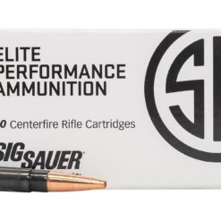 Buy Ammo 300blk 120gr