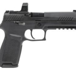 Buy Sig Sauer P320 Rxzp