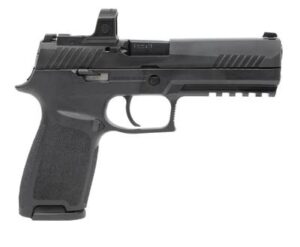 Buy Sig Sauer P320 Rxzp